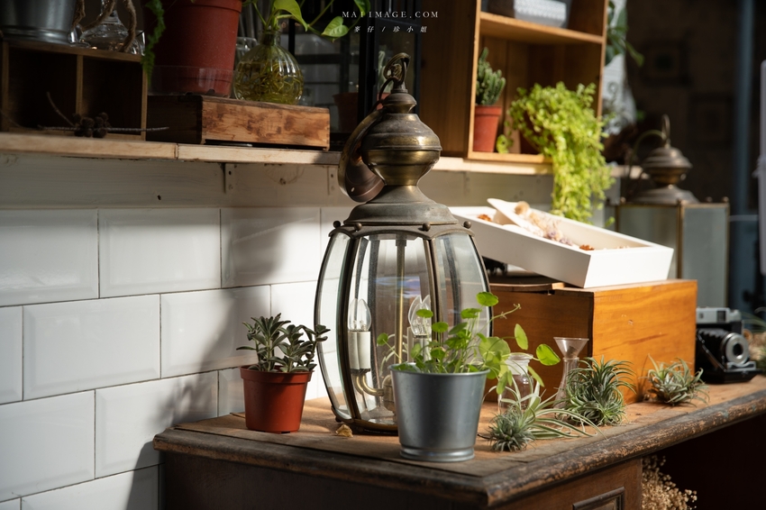 森林系咖啡又一間值得收藏，來這用餐記憶卡要夠，室內室外都超好拍！