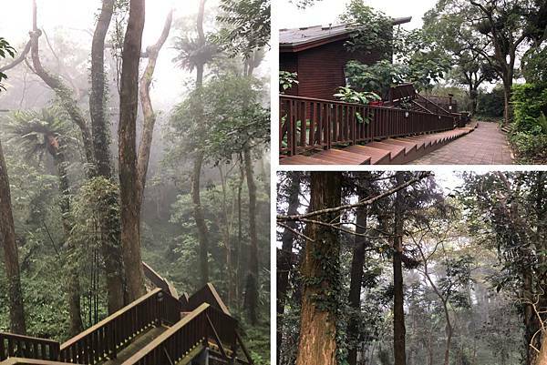 （南投小木屋）蟬說：鳳凰亭序～一泊二食霧屋餐廳美食吃到飽！鳳凰谷鳥園住宿推薦！週休二日來去山上住一晚