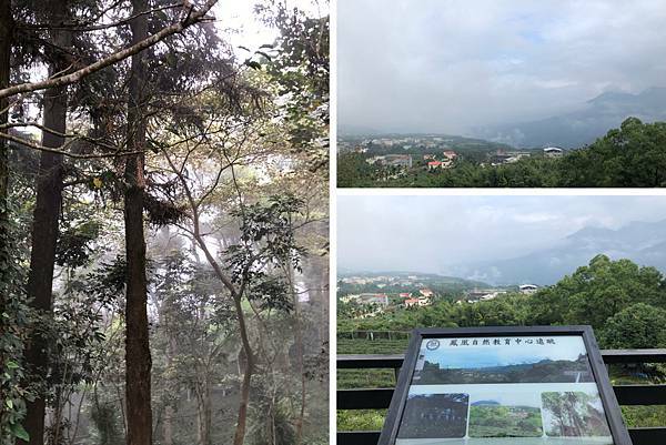 （南投小木屋）蟬說：鳳凰亭序～一泊二食霧屋餐廳美食吃到飽！鳳凰谷鳥園住宿推薦！週休二日來去山上住一晚