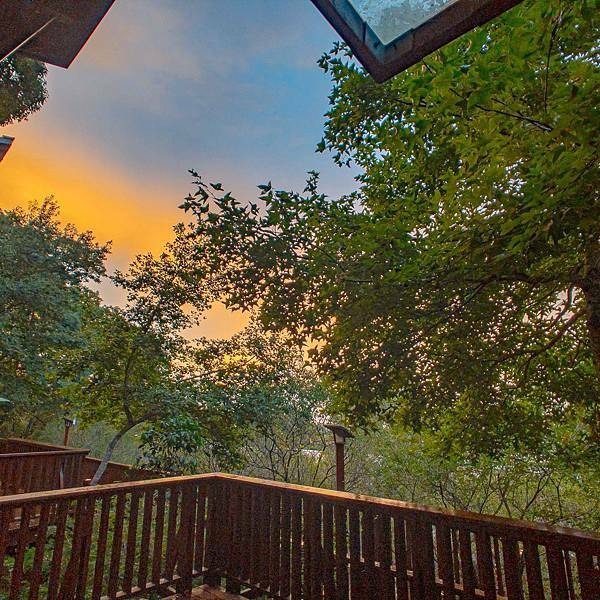 南投縣 鹿谷鄉 蟬說:鳳凰亭序 24.jpeg 南投縣 鹿谷鄉 蟬說:鳳凰亭序 24.jpeg