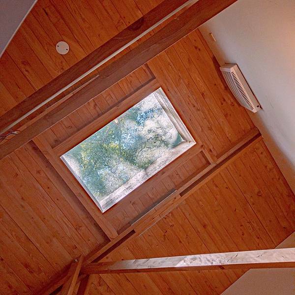 南投縣 鹿谷鄉 蟬說:鳳凰亭序 11.jpeg 南投縣 鹿谷鄉 蟬說:鳳凰亭序 11.jpeg