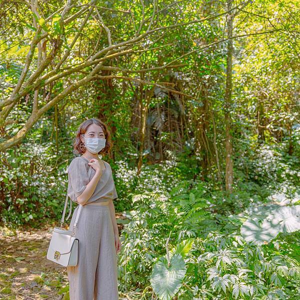 南投縣 鹿谷鄉 蟬說:鳳凰亭序 40.jpeg 南投縣 鹿谷鄉 蟬說:鳳凰亭序 40.jpeg