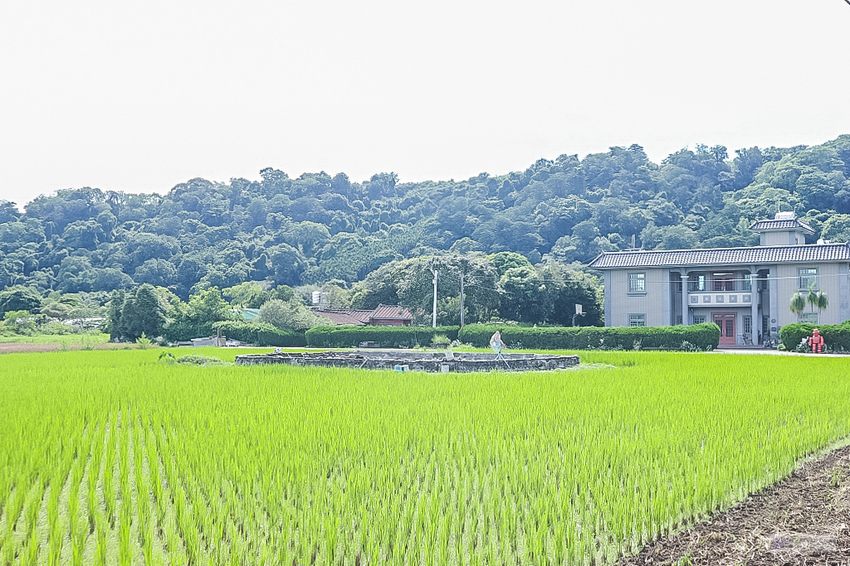 IMG_6582.jpg IMG_6582.jpg