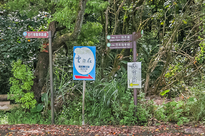 IMG_6590.jpg IMG_6590.jpg