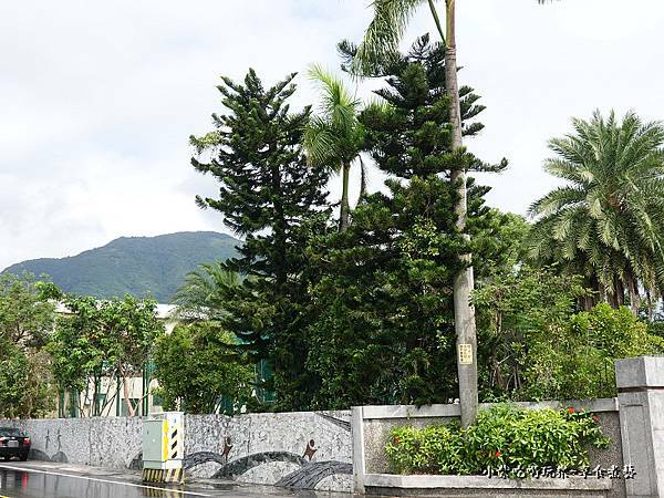 花蓮新城國小  (1).jpg