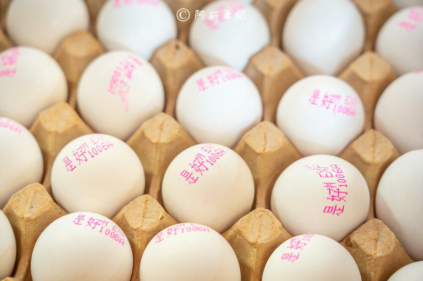 三十二雞蛋堡,29雞蛋堡,雞蛋堡,台中美食,台中雞蛋堡,台中蛋堡,台中小吃,永興街美食,永興間小吃