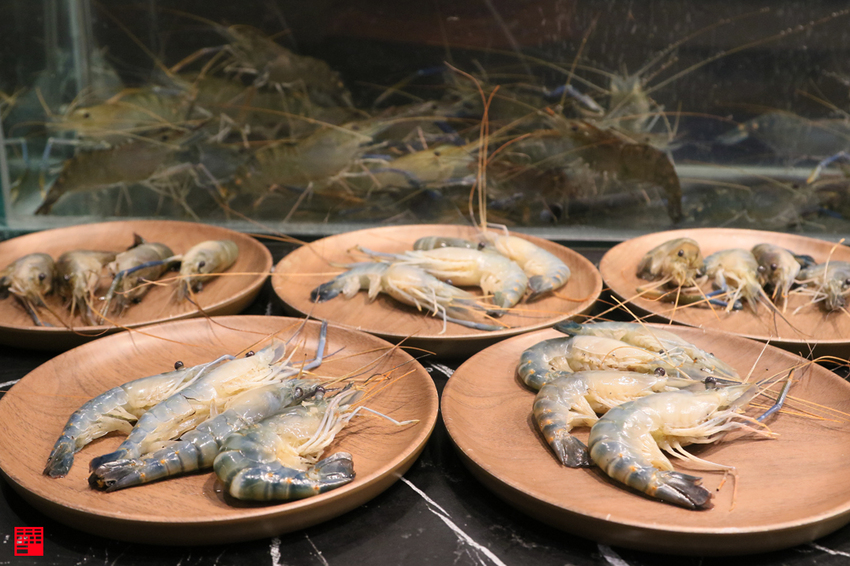 高雄美食／高雄吃到飽餐廳推薦！夢時代新開幕燒肉將！新鮮泰國蝦、美國和牛、伊比利豬、天使紅蝦、一夜干等美食火烤兩吃799/999元起 - 跟著華少吃吃吃