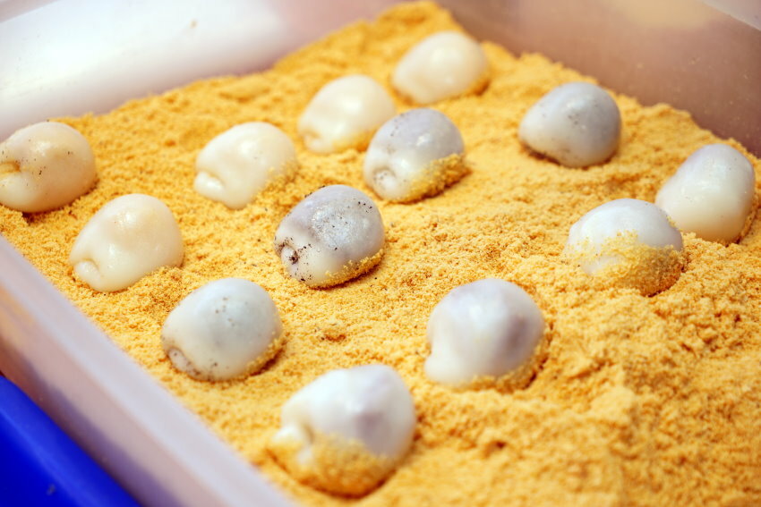 【桃園美食】康家客家手工麻糬．網美風棋格麻糬，三種口味一次滿足!