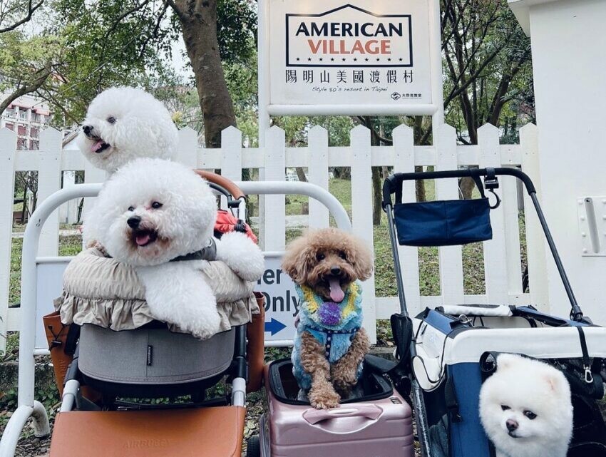 花蓮縣花蓮市【2024全台寵物友善飯店推薦】Top25寵物住宿、寵物旅館推薦，帶毛孩輕鬆入住！