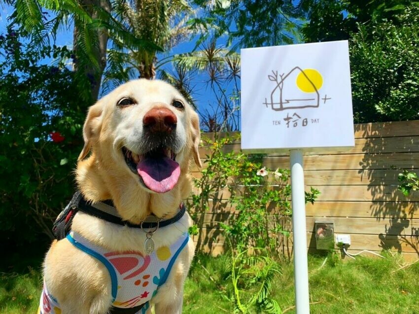 花蓮縣花蓮市【2024全台寵物友善飯店推薦】Top25寵物住宿、寵物旅館推薦，帶毛孩輕鬆入住！