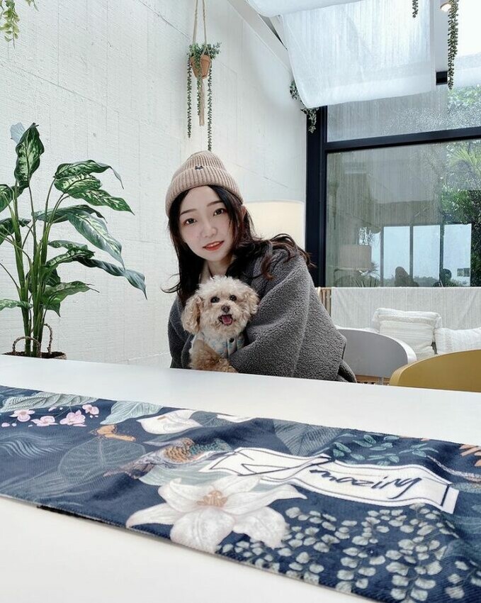 花蓮縣花蓮市【2024全台寵物友善飯店推薦】Top25寵物住宿、寵物旅館推薦，帶毛孩輕鬆入住！