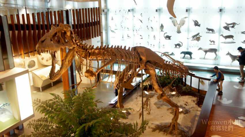 2018.02.01 台灣博物館 (33).JPG 2018.02.01 台灣博物館 (33).JPG