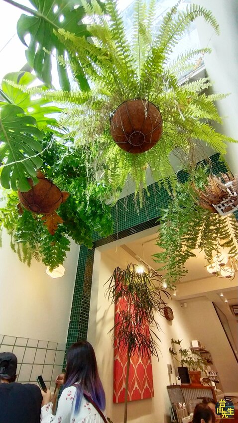 台南早午餐／藏身超隱密巷弄中／50多年台式老屋建築／早午餐結合民宿／綠意盎然植栽空間／連在地人都差點找不到