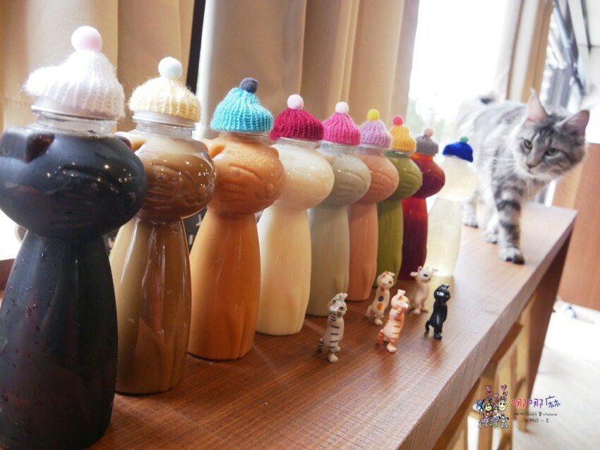 來嚕貓囉!八德貓咪餐廳推出超可愛貓咪泰奶,還有威武霸氣的大貓坐檯!