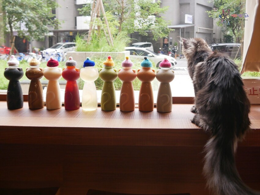 來嚕貓囉!八德貓咪餐廳推出超可愛貓咪泰奶,還有威武霸氣的大貓坐檯!