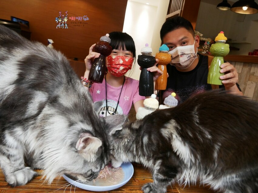 來嚕貓囉!八德貓咪餐廳推出超可愛貓咪泰奶,還有威武霸氣的大貓坐檯!