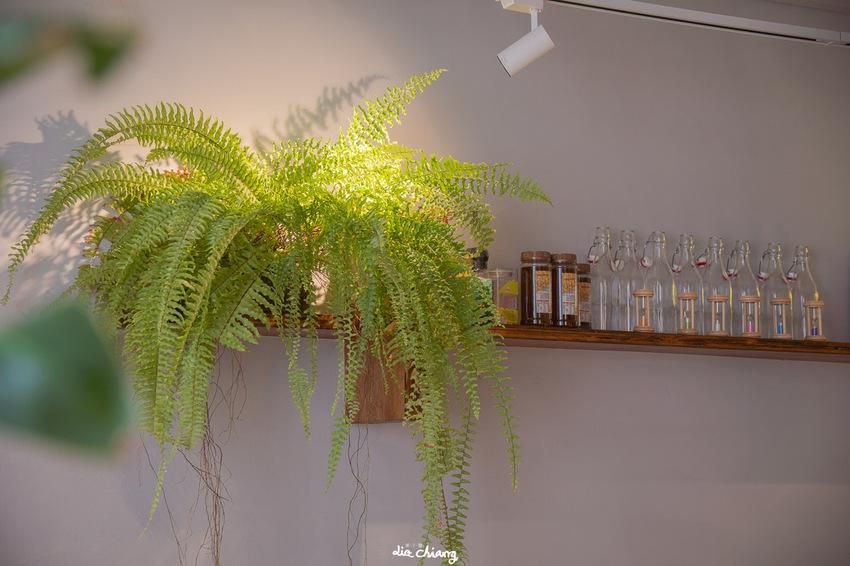 台中西區巷弄中植栽、木質系餐廳-溪木