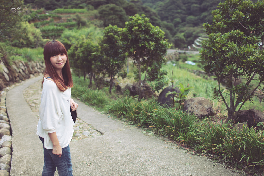 陽明山竹子湖半日漫步 陽明山竹子湖半日漫步