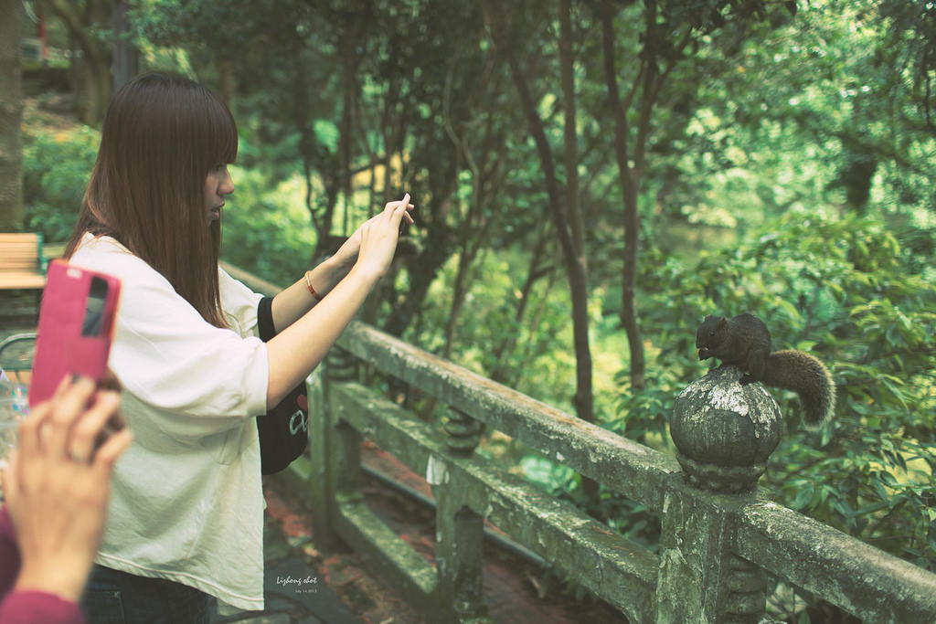 陽明山竹子湖半日漫步 陽明山竹子湖半日漫步