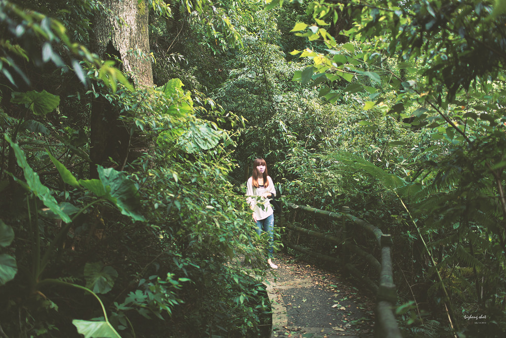 陽明山竹子湖半日漫步 陽明山竹子湖半日漫步