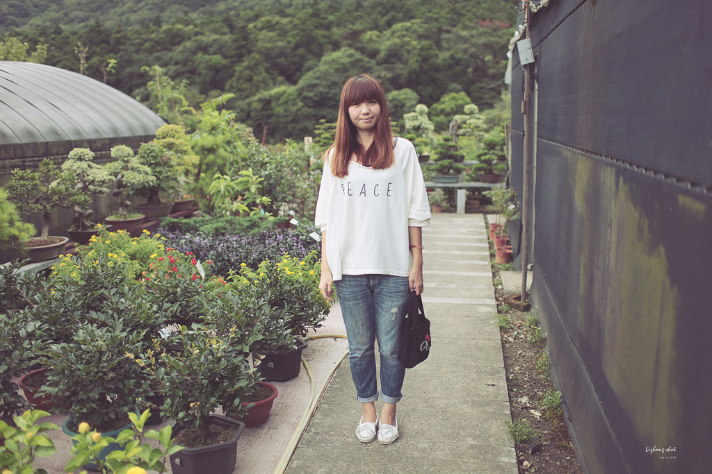 陽明山竹子湖半日漫步 陽明山竹子湖半日漫步