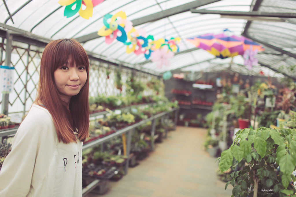 陽明山竹子湖半日漫步 陽明山竹子湖半日漫步