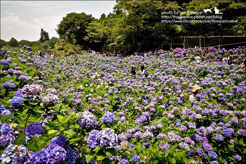 DSC_3533-2.jpg DSC_3533-2.jpg