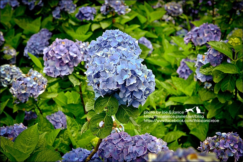 DSC_3488-2.jpg DSC_3488-2.jpg