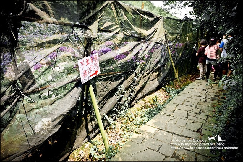 DSC_3616-2 DSC_3616-2