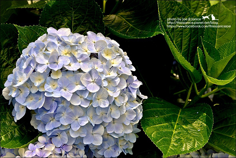 DSC_3460-2.jpg DSC_3460-2.jpg