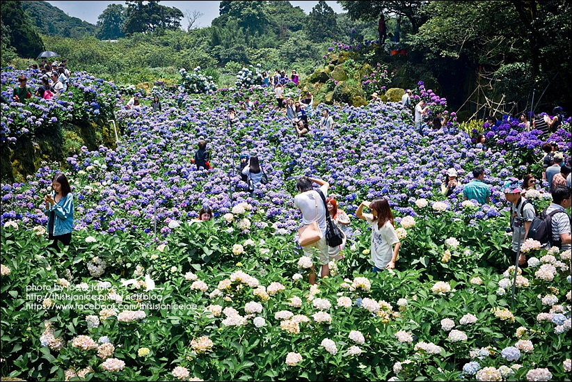 DSC_3542-2.jpg DSC_3542-2.jpg