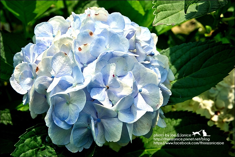 DSC_3526-2.jpg DSC_3526-2.jpg