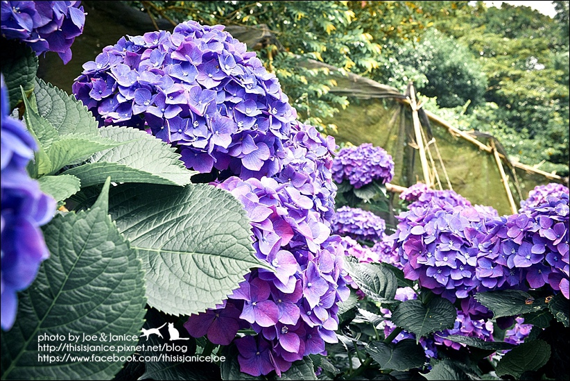 DSC_3516-2.jpg DSC_3516-2.jpg