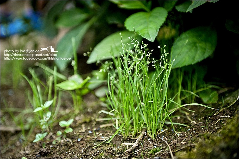 DSC_3551-2.jpg DSC_3551-2.jpg