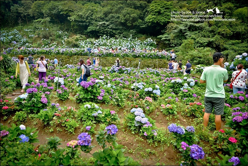 DSC_3443.jpg DSC_3443.jpg