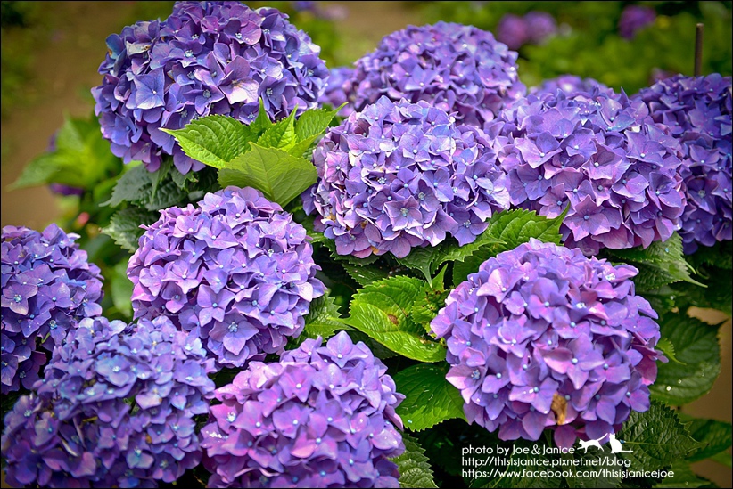 DSC_3454.jpg DSC_3454.jpg