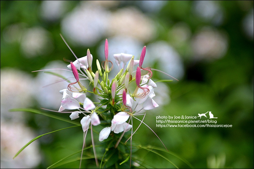 DSC_3557.jpg DSC_3557.jpg