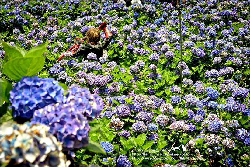 DSC_3537-2.jpg DSC_3537-2.jpg