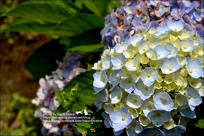 DSC_3591.jpg DSC_3591.jpg