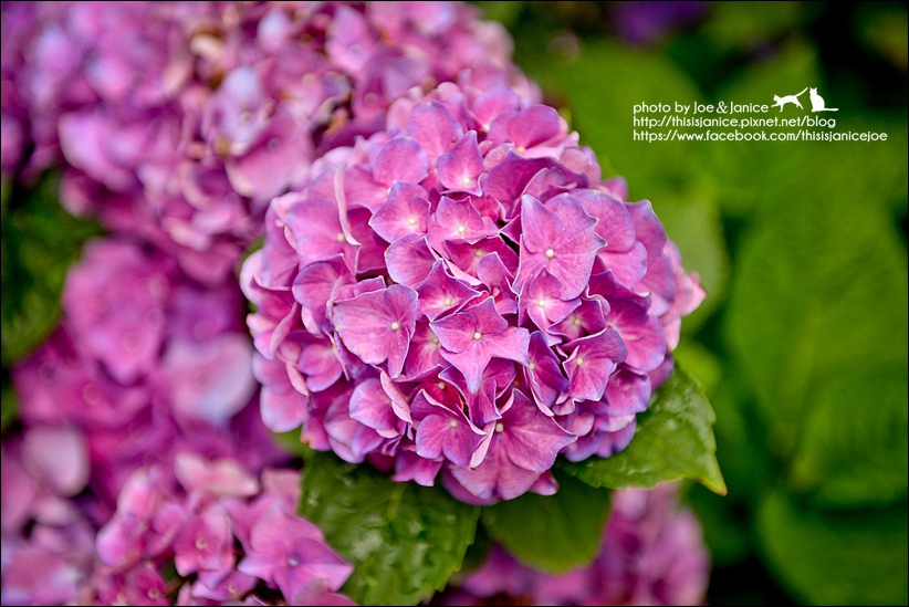 DSC_3448.jpg DSC_3448.jpg