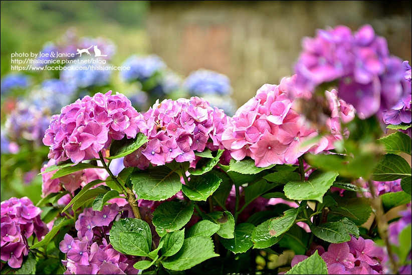 DSC_3451.jpg DSC_3451.jpg