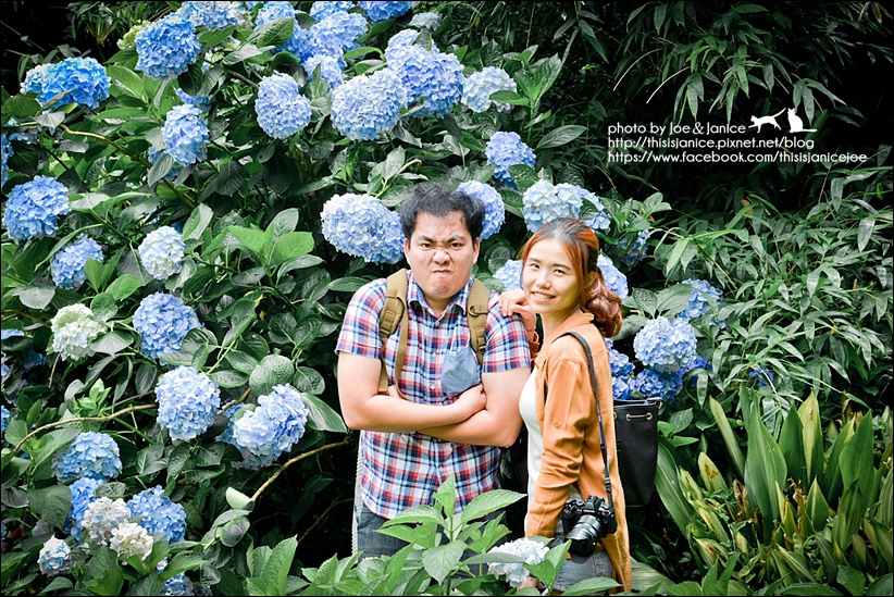 DSC_3561-2.jpg DSC_3561-2.jpg