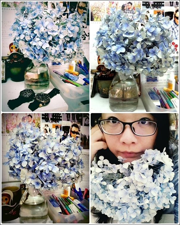 繡球花.jpg 繡球花.jpg