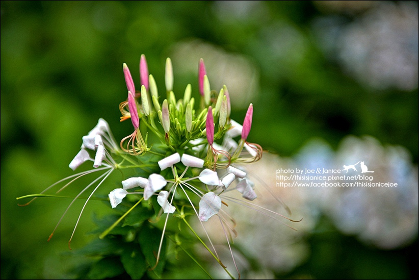 DSC_3559-2.jpg DSC_3559-2.jpg