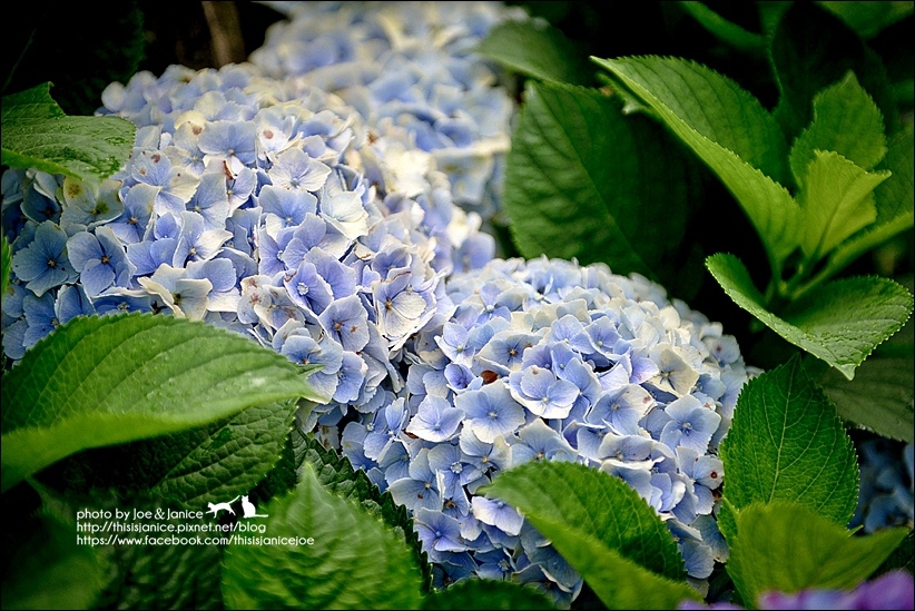 DSC_3449.jpg DSC_3449.jpg