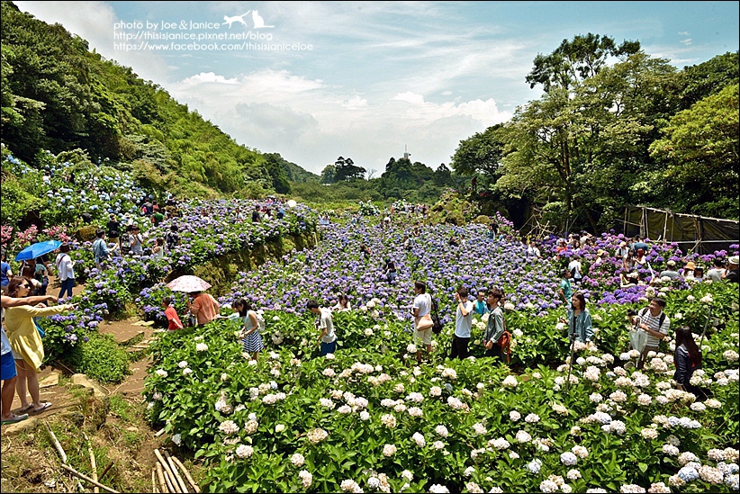 DSC_3539-2.jpg DSC_3539-2.jpg