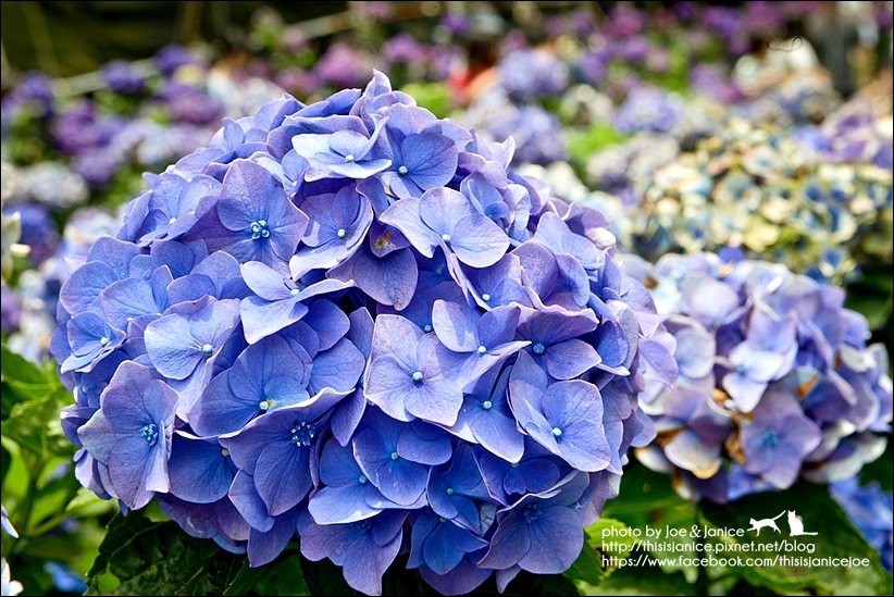 DSC_3493-2.jpg DSC_3493-2.jpg