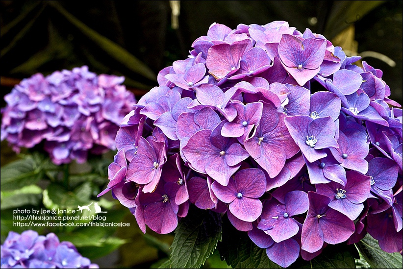 DSC_3512-2.jpg DSC_3512-2.jpg