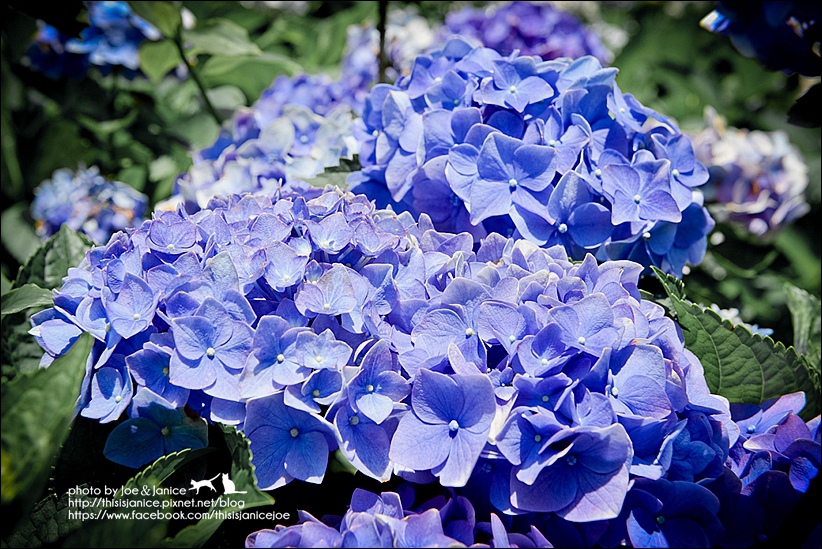 DSC_3572-2.jpg DSC_3572-2.jpg