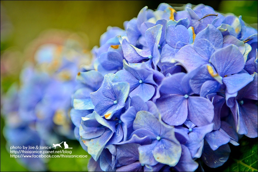 DSC_3453.jpg DSC_3453.jpg